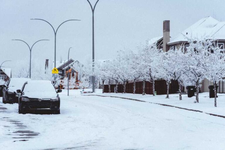 Northeast Slammed by Record Snowstorm, Power Outages, and Flight Cancellations
