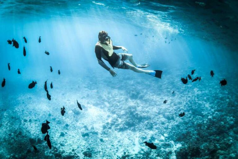 Why Did NASA Stop Exploring the Ocean